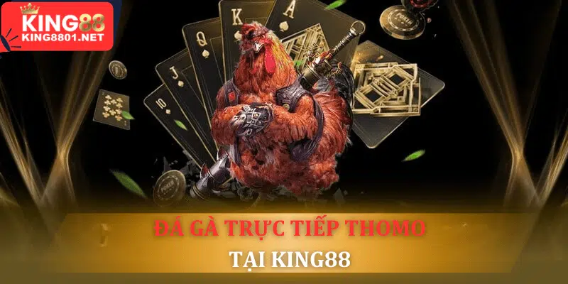 Đá gà trực tiếp Thomo - Địa chỉ xem uy tín, an toàn 2024