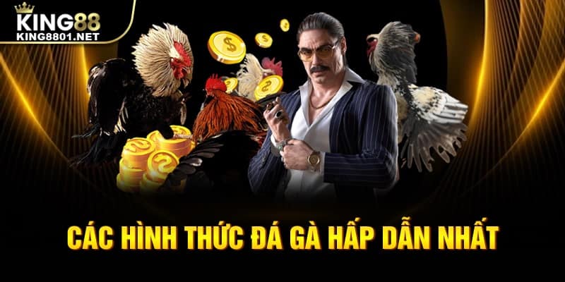 Các hình thức đá gà hấp dẫn nhất