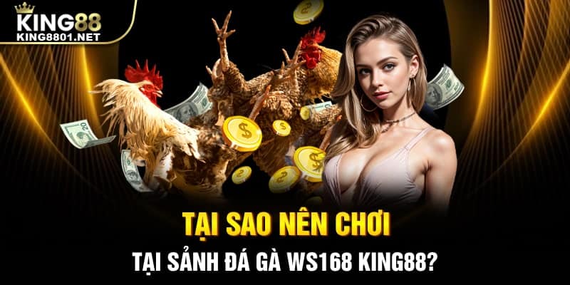 Tại sao nên chơi tại sảnh đá gà WS168 king88?