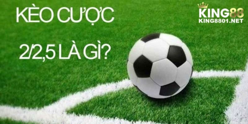 Bí quyết khi đặt cược tài xỉu 2-2.5 là gì? Bí quyết khi đặt cược tài xỉu 2-2.5 là gì?